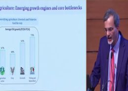 India’s Potential Growth Accelerates to 7%: CEA V. Anantha Nageswaran