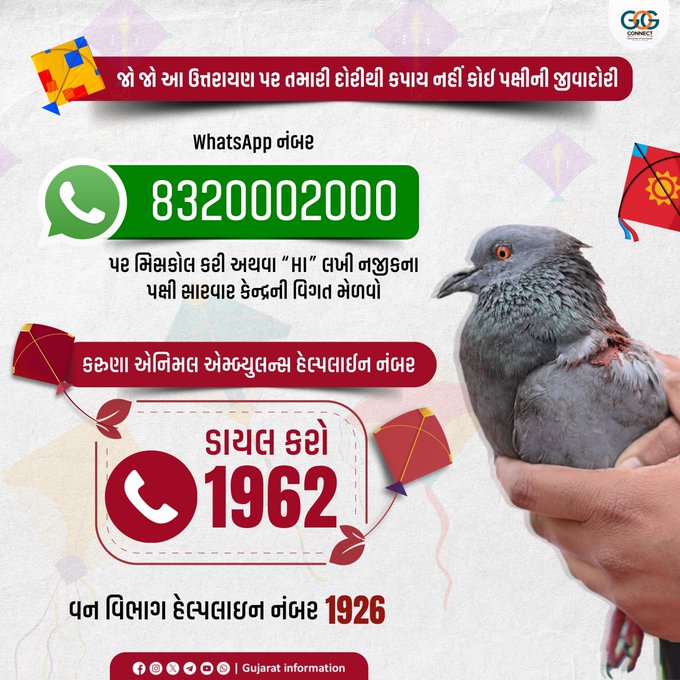 કરુણા અભિયાન અંતર્ગત પશુ દવાખાનાના કાર્યકર અને તબીબોએ પશુ પક્ષીઓને સારવાર આપી – કરુણા અભિયન 16મી જાન્યુઆરી સુધી ચાલુ રહેશે