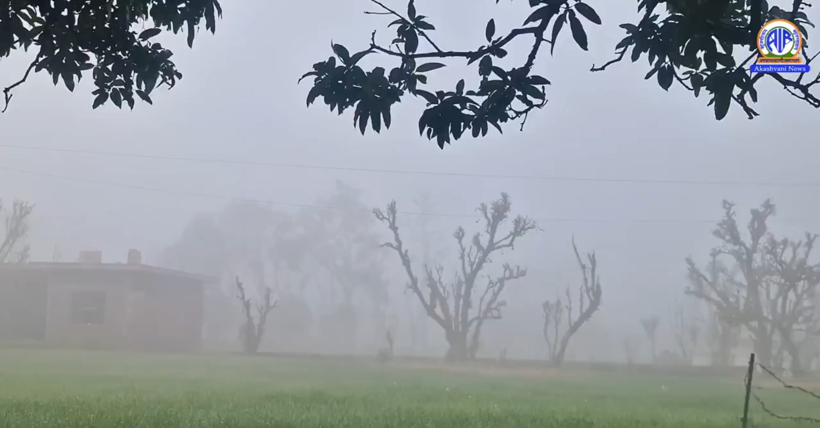 Cold wave continues in J&K; Shopian emerges coldest at minus 7.5 degree celsius