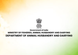 Govt approves proposal of smart & integrated fishing harbour in Andaman & Nicobar Islands worth around 200 crore 