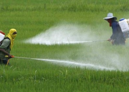 Govt invites public feedback on Draft Pesticides Management Bill 2025