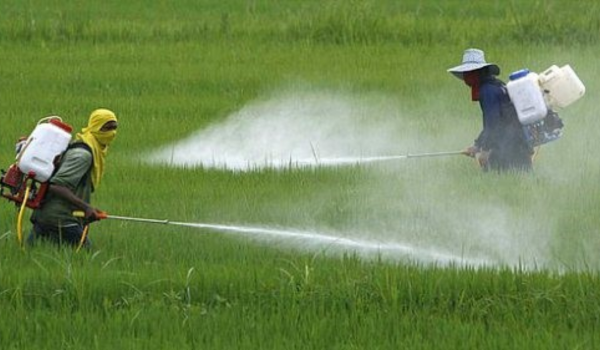 Govt invites public feedback on Draft Pesticides Management Bill 2025