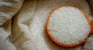 यंदा ३५० लाख टन साखरेचं उत्पादन होण्याचा अंदाज