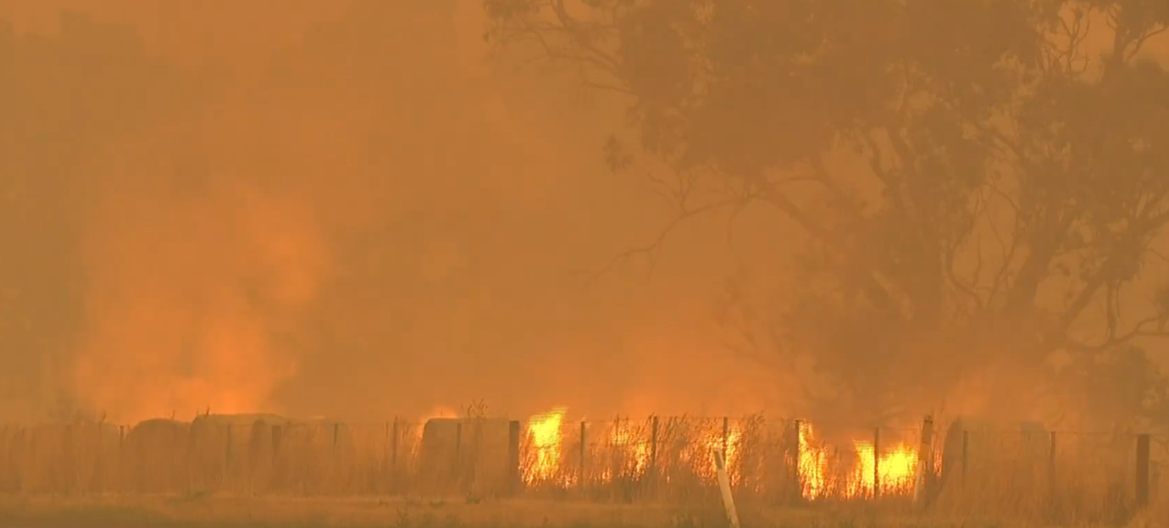 ऑस्ट्रेलिया: दक्षिण-पूर्वी ऑस्ट्रेलिया में जंगल की आग के कारण 1 व्यक्ति की मौत
