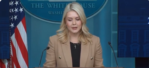 अमरीका ने ग्रीनलैंड मुद्दे पर जेडी वेंस और डेनिश अधिकारियों के बीच हुई बैठक को सार्थक बताते हुए सराहा