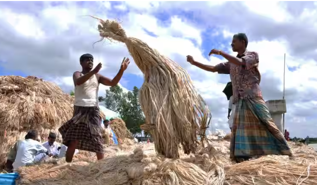 सरकार ने जूट मिलों के लिए कच्चे जूट की भण्‍डारण सीमा बढ़ाने का फैसला किया