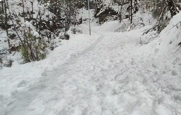 पाकिस्‍तान के कब्‍जे वाले जम्‍मू-कश्‍मीर में भारी बर्फबारी ने आम जनजीवन को बुरी तरह प्रभावित