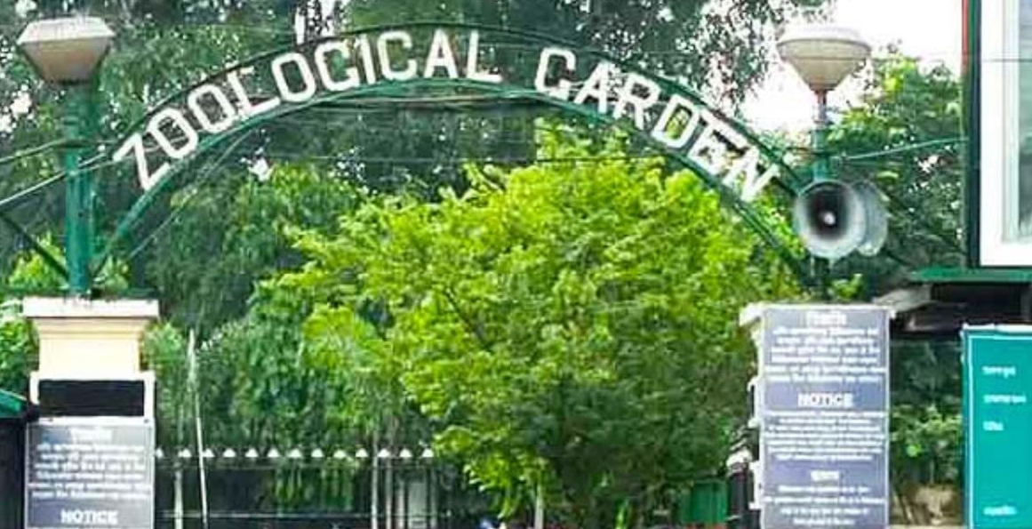 নতুন বছরের প্রথম দিনেই উত্সবের মেজাজে শহরবাসী