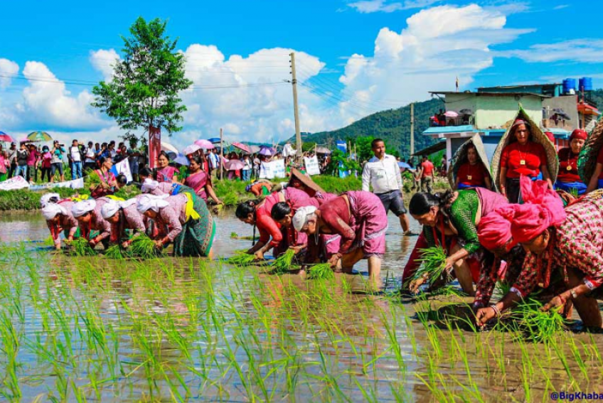 Nepal celebrates National Agricultural Biodiversity Day with festival in Kathmandu