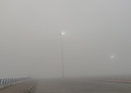 IMD issues orange warning for dense fog across Bihar, East Uttar Pradesh and Madhya Pradesh 