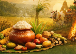 VP Radhakrishnan extends greetings on Makar Sankranti, Pongal, Lohri, Magh Bihu, Kanuma, Uttarayan, Tusu Parab 