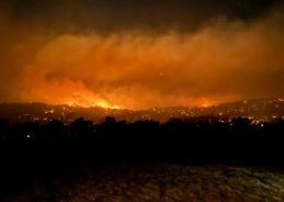 অষ্ট্ৰেলিয়াৰ দক্ষিণ-পূব অঞ্চলৰ ভিক্টোৰিয়া প্ৰদেশত সংঘটিত বনজুইৰ পৰিপ্ৰেক্ষিতত ৰাজ্যিক দুর্যোগ ঘোষণা