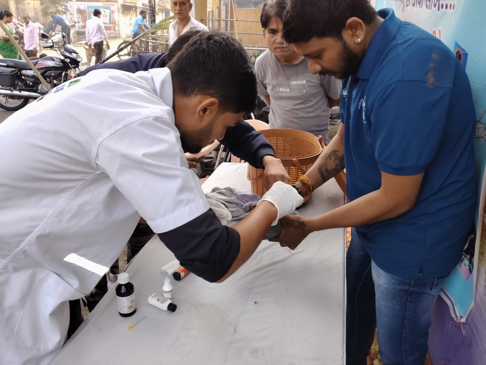 પોરબંદરમાં કરુણા અભિયાન અંતર્ગત 58 પશુ-પક્ષીના જીવ બચાવાયા