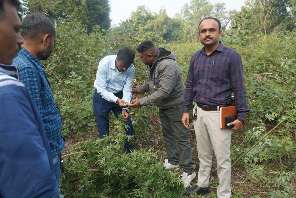 છોટાઉદેપુરના કવાંટમાંથી 62 લાખ રૂપિયાથી વધુનો માદક પદાર્થનો જથ્થો ઝડપાયો