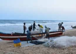 Sri Lankan Navy arrests 7 Indian fishermen from Nagapattinam and Mayiladuthurai