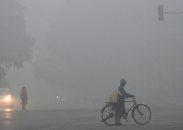 IMD forecasts Dense fog over Delhi, Punjab, Haryana, Chandigarh and Bihar