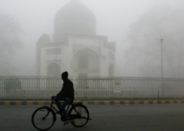 IMD issues red warning for dense fog in Punjab, Haryana, Chandigarh and Delhi