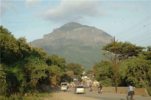 જૂનાગઢમાં 40મી રાજ્યકક્ષાની ગિરનાર આરોહણ-અવરોહણ સ્પર્ધા યોજાઈ.