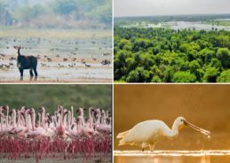 Environment Minister Bhupender Yadav announces addition of two new wetlands to India’s Ramsar network