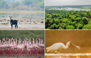 रामसर सूची में दो नए नम भूमि क्षेत्रों का नाम शामिल, प्रधानमंत्री मोदी ने प्रसन्‍नता व्‍यक्‍त की