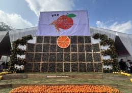 5th edition of Rüsoma Orange Festival begins in Nagaland
