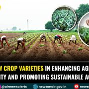 Spotlight : Role of New Crop Varieties in Enhancing Agricultural Productivity and promoting Sustainable Agriculture.