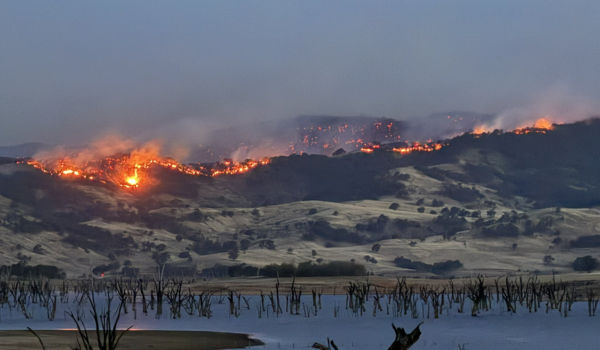 ऑस्ट्रेलिया: विक्टोरिया में भीषण जंगल की आग के चलते आपदा घोषित