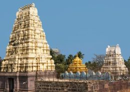 Andhra Pradesh: Shivaratri Brahmotsavams being celebrated at Sri Bhramaramba Mallikarjuna Swamy Temple 