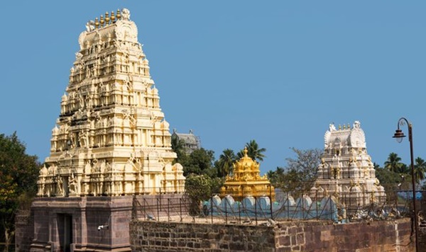 Andhra Pradesh: Shivaratri Brahmotsavams being celebrated at Sri Bhramaramba Mallikarjuna Swamy Temple 