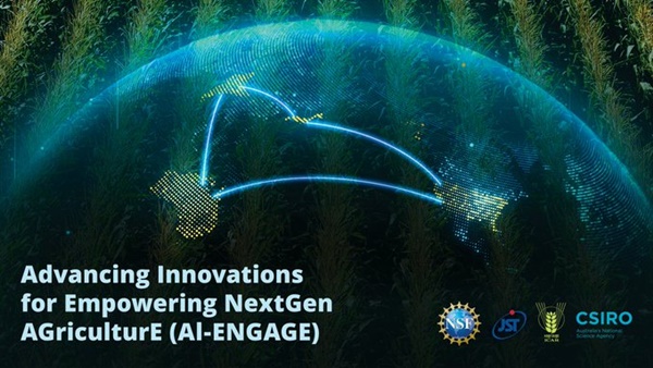 NSF announces AI-ENGAGE Awards to modernise Agriculture