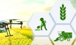 भारत में ग्रामीण परिवर्तन का मजबूत आधार बन रही है आर्टिफिशियल इंटेलिजेंस