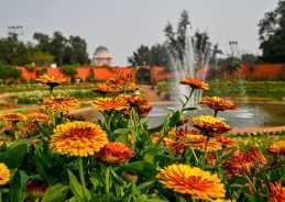 Amrit Udyan to be opened for public from 3rd Feb till 31st March