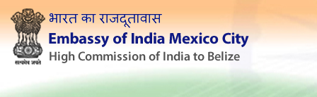 Indian Embassy in Mexico issues advisory to citizens amid security operations in various parts of country