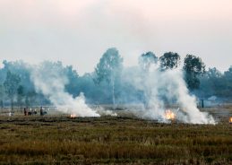 Punjab: 53% decline in stubble burning recorded during Kharif season 2025