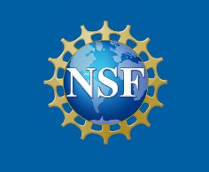 एन.एस.एफ. ने आर्टिफिशियल इंटेलिजेंस के माध्यम से कृषि को आधुनिक बनाने के लिए पुरस्कारों की घोषणा की