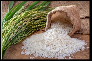 भारतीय खाद्य निगम और विश्व खाद्य कार्यक्रम के बीच समझौता, भारत देगा 2 लाख मीट्रिक टन चावल