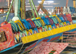 Haryana Government to cover treatment cost of injured in Surajkund Mela accident