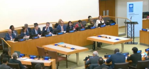 भारत ने संयुक्त राष्ट्र विकास कार्यक्रम के साथ अपनी साझेदारी को मजबूत करने की आवश्यकता पर दिया बल