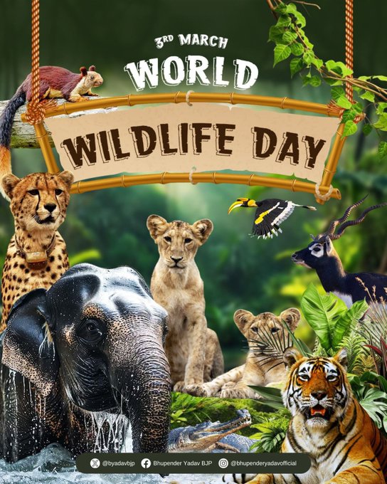 केंद्रीय मंत्री भूपेंद्र यादव ने कहा कि विश्व वन्यजीव दिवस पृथ्वी की अद्भुत जैव विविधता का उत्सव है