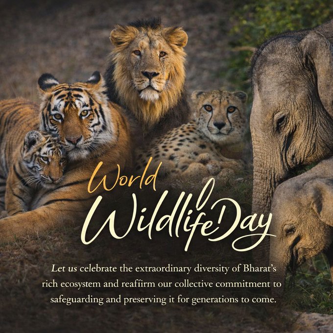 विश्व वन्यजीव दिवस के अवसर पर उपराष्ट्रपति सी.पी. राधाकृष्णन ने कहा कि भारत, वन्यजीव संरक्षण में विश्‍व में अग्रणी होने पर गर्व महसूस करता है