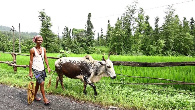 गुजरात सरकार 500 गांवों को ‘प्राकृतिक कृषि गांव’ के रूप में विकसित करेगी
