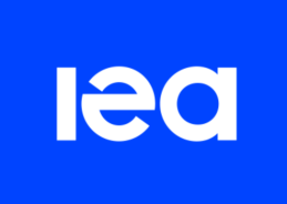 India Welcomes IEA’s Decision to Release Emergency Oil Stocks Amid Supply Disruptions