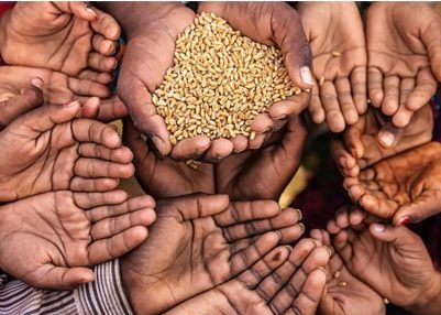 Pakistan Faces Deepening Poverty Crisis, Institutional Weaknesses Highlighted