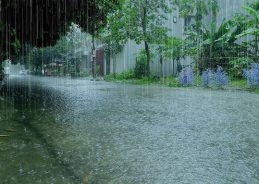 Met Department advises caution amid adverse weather in Uttarakhand