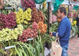 Indian Orchid Festival 2026 at Pakyong district in Sikkim concludes