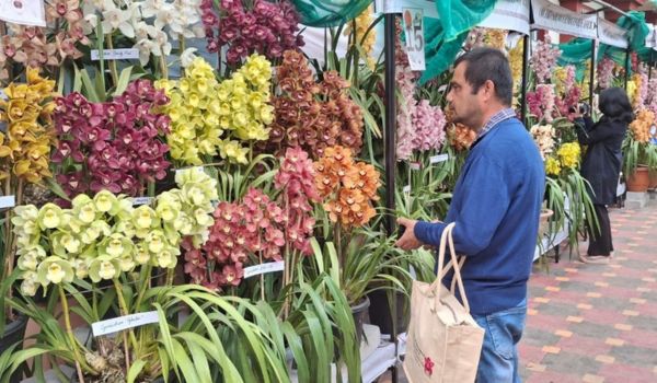 Indian Orchid Festival 2026 at Pakyong district in Sikkim concludes