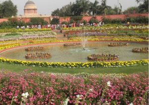 अमृत उद्यान में 11 हजार से अधिक वरिष्ठ नागरिकों ने किया भ्रमण: सामाजिक न्याय मंत्रालय