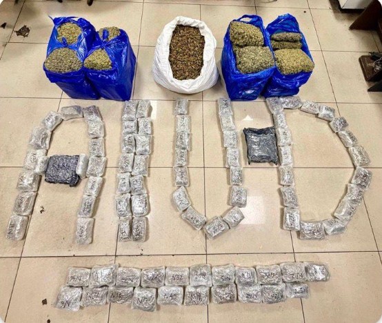 एआईयू ने हाइड्रोपोनिक भांग की खेप के मामले में सीएसएमआईए से एक विदेशी नागरिक सहित चार यात्रियों को गिरफ्तार किया