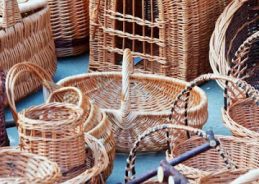 Telangana: Skill training programme on bamboo handicraft making and non-timber forest product processing concluded