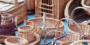 Telangana: Skill training programme on bamboo handicraft making and non-timber forest product processing concluded